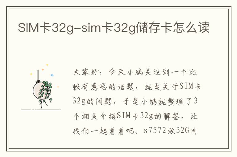 SIM卡32g-sim卡32g储存卡怎么读