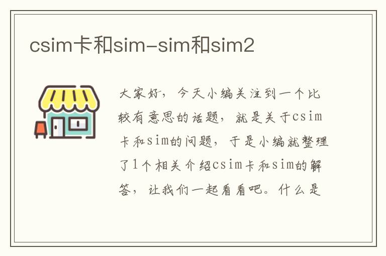csim卡和sim-sim和sim2